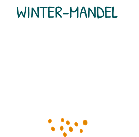 Winter-Mandel - feine Mandelcreme mit Zimt umhüllt von weißer Schokolade